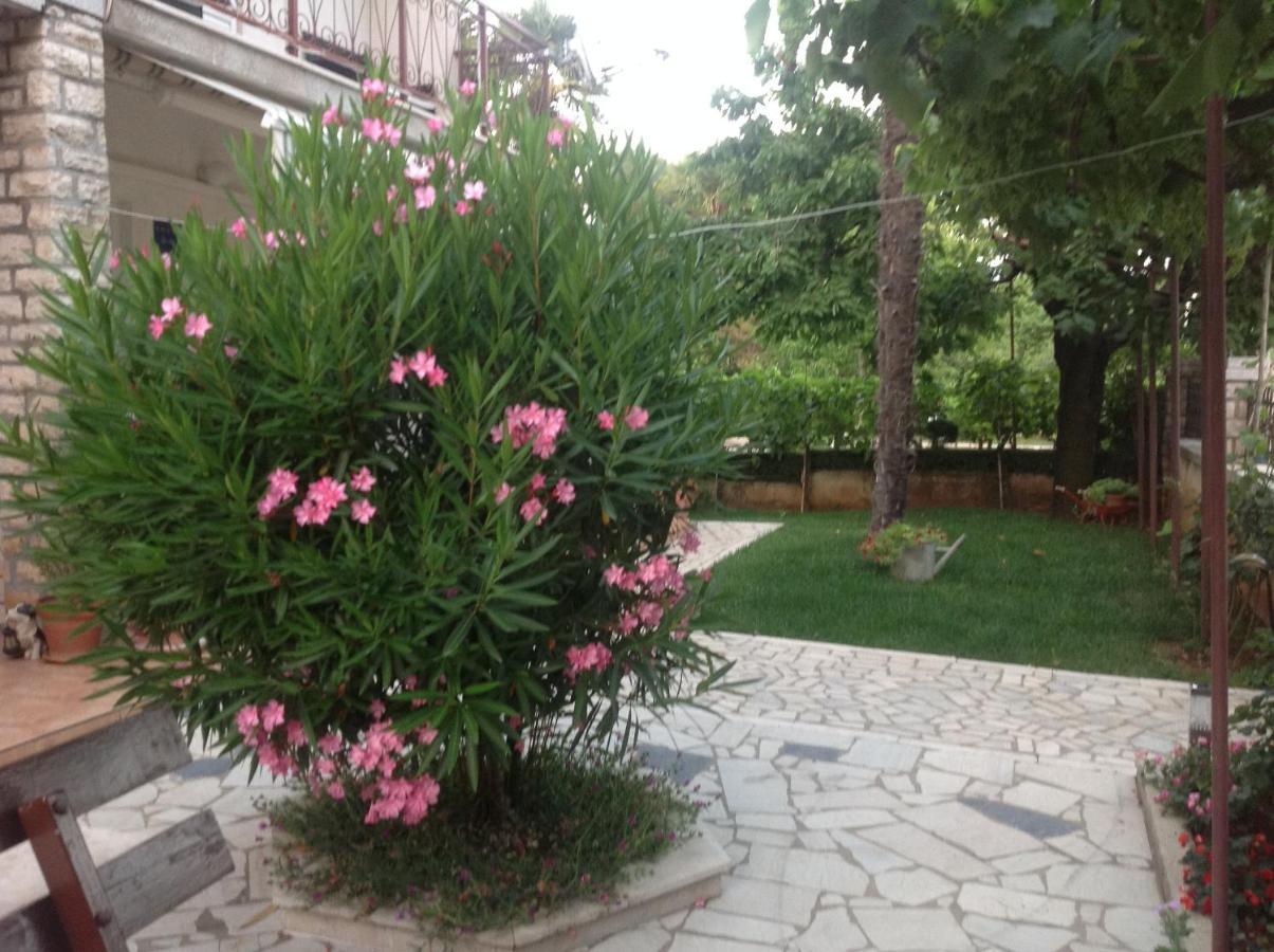 Vila Alma Poreč Dış mekan fotoğraf